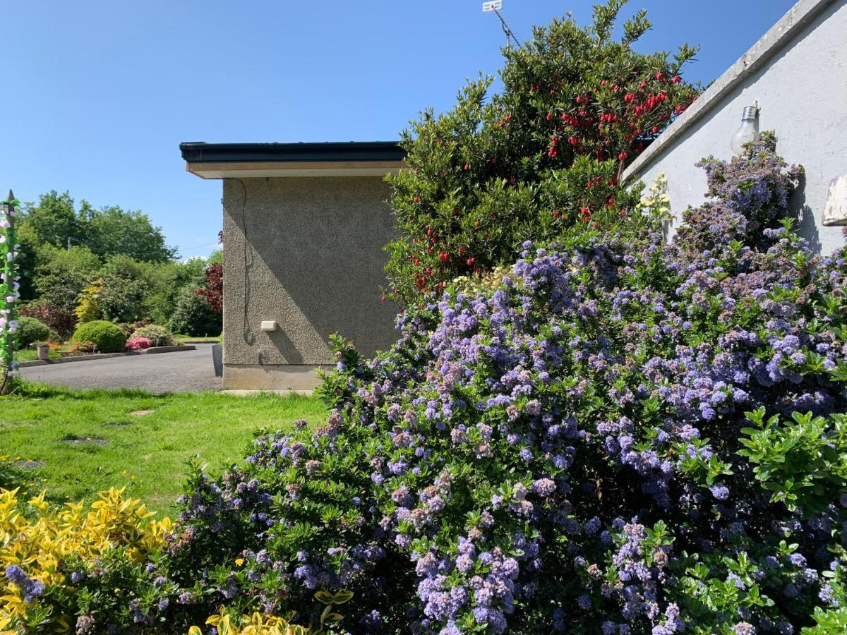 Roadside House Hotel Ballynahinch Exterior foto